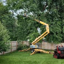 Best Weed Control  in Canterwood, WA