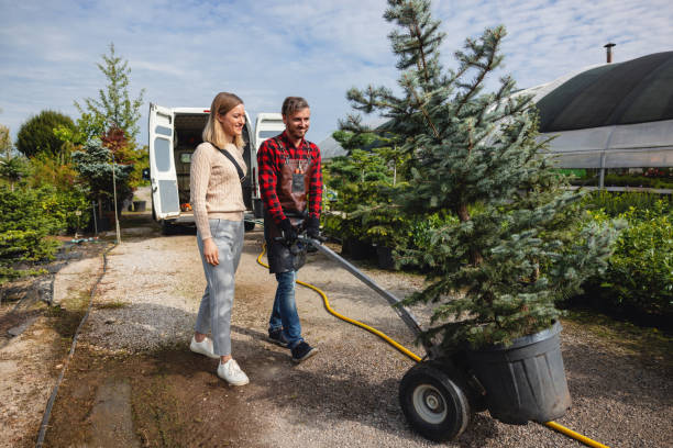 Best Storm Damage Tree Cleanup  in Canterwood, WA